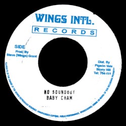 No Soundboy / Shot A Fire (Remixes)