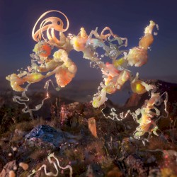 SPINE