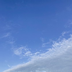 skies above