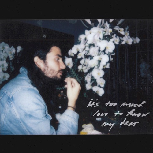 It's Too Much Love to Know My Dear