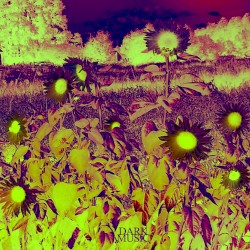 Dark Music