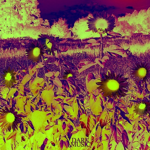 Dark Music