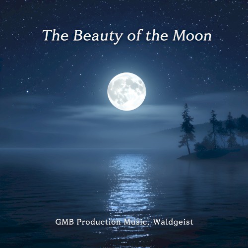 The Beauty of the Moon