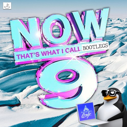Now That’s What I Call Bootlegs, Volume 9