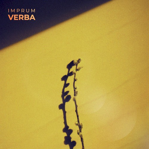 Verba