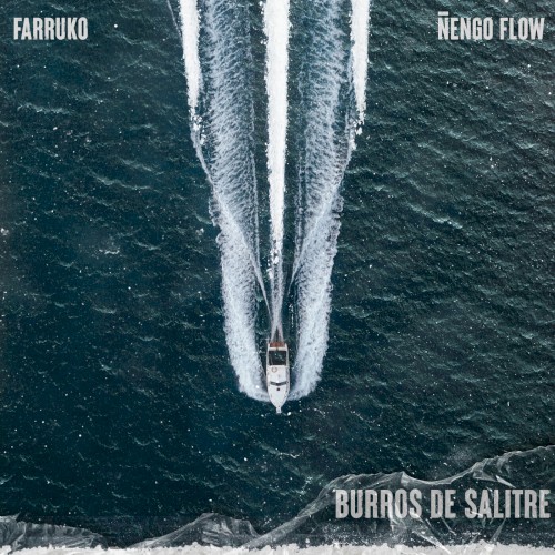 Burros de Salitre