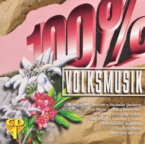 100% Volksmusik