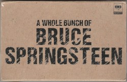A Whole Bunch of Bruce Springsteen