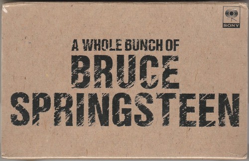 A Whole Bunch of Bruce Springsteen