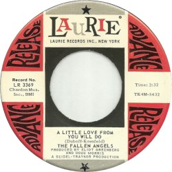A Little Love From You Will Do / Have You Ever Lost A Love