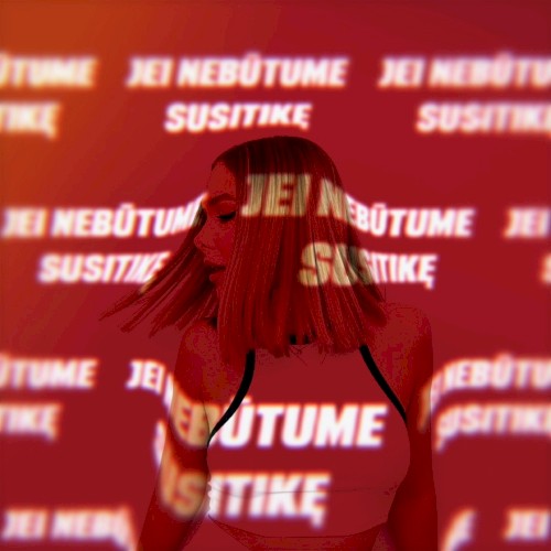 Jei nebūtume susitikę
