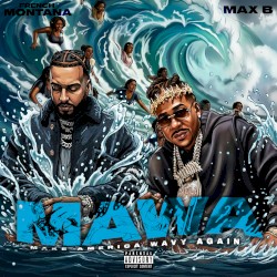 Make America Wavy Again (MAWA)