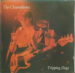 Tripping Dogs