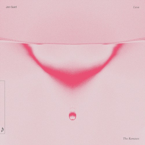 Lion (The Remixes)