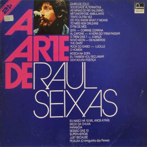 A arte de Raul Seixas