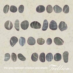 The Gray Between Shadow and Shade