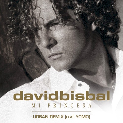 Mi princesa (urban remix)
