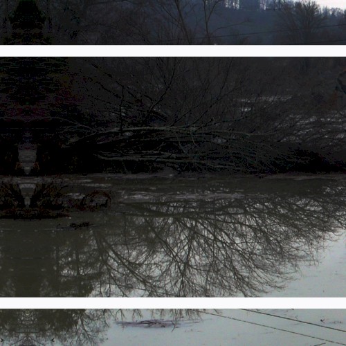 Rain of Ashes