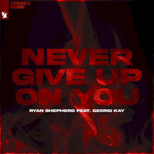 Never Give Up On You