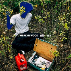 Fye