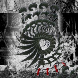Serpents and Shallows
