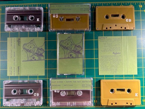 Knumears / Clay Birds Split