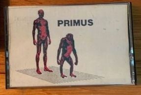 Primate