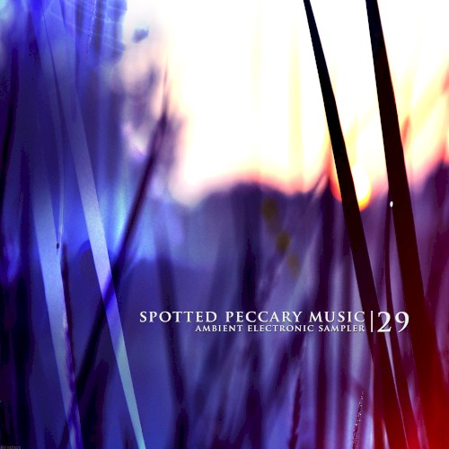 29 - free ambient electronic sampler