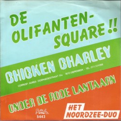 De olifanten-square!!