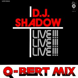 Camel Bobsled Race (Q-Bert live mix)