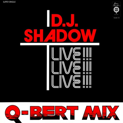 Camel Bobsled Race (Q-Bert live mix)