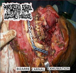 Bizarre Carnal Exhumation