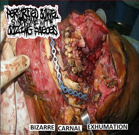Bizarre Carnal Exhumation