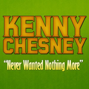 Never Wanted Nothing More