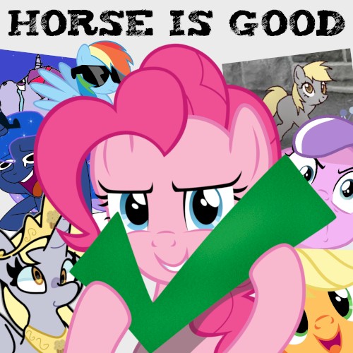 HORSE IS GOOD
