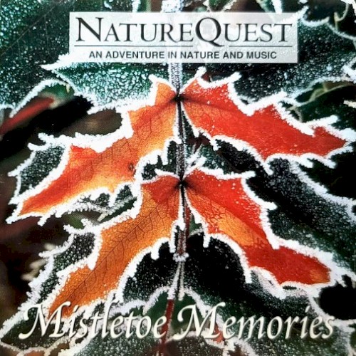 Mistletoe Memories