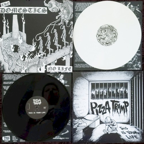 The Domestics/Pizzatramp split