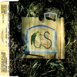 OES Mini CD