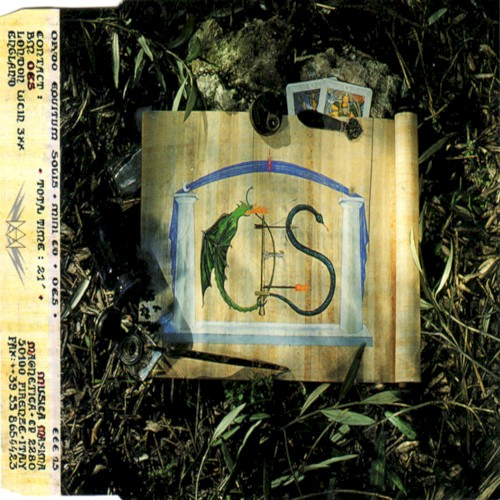 OES Mini CD