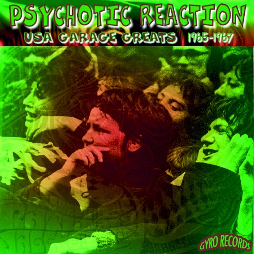 USA Garage Greats 1965–1967: Vol. 119: Psychotic Reaction
