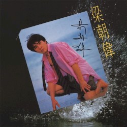 朦朧夜雨裡