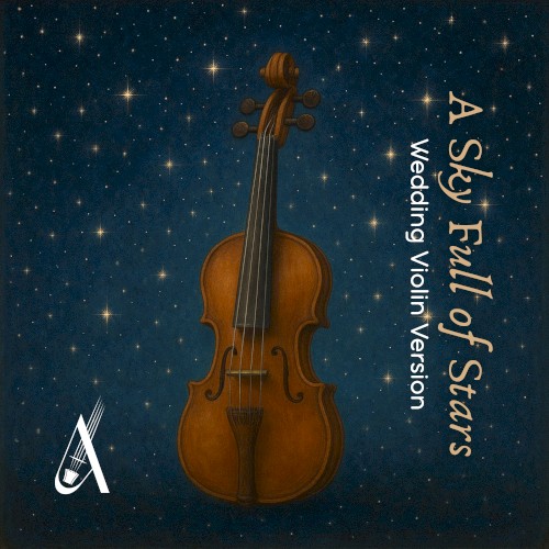 A Sky Full of Stars (Wedding Violin version)