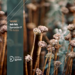 Superposition - The Remixes