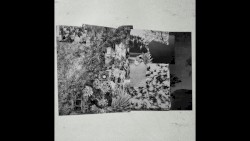 Patchwork Doorstop Paranoia Daydream (instrumental)