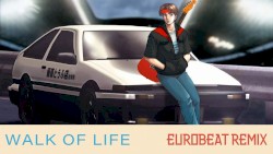 Walk of Life
