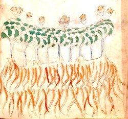 月の満ち欠けと微生物の運動 ( Phases of the moon and Microbial movement )