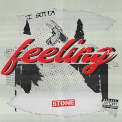 I Gotta Feeling