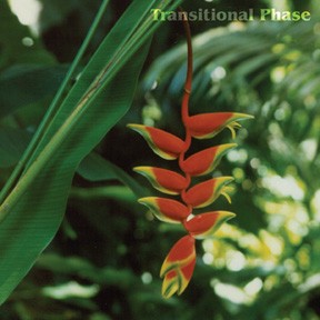 Transitional Phase