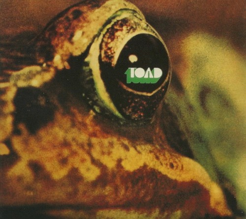 Toad