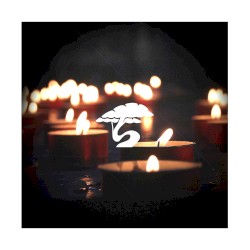 Candle Light Flame